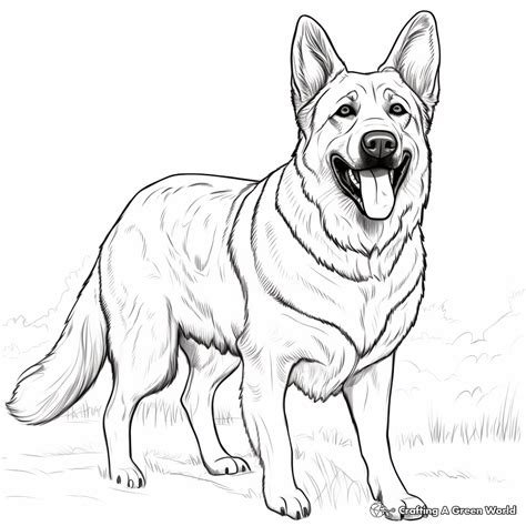 Realistic German Shepherd Coloring Pages Free Printable