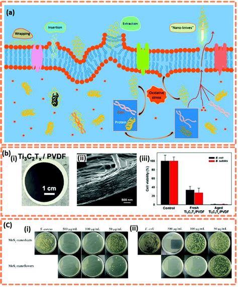 Recent Advancement In Biomedical Applications On The Surface Of Two