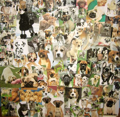 Dog Collage by MizukiiMoon on DeviantArt