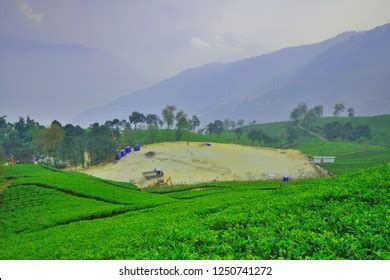 1,279 Sikkim Garden Field Images, Stock Photos & Vectors | Shutterstock