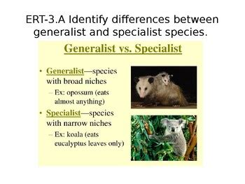 Ap Enviro Generalist Specialist R And K Selected Species Tpt