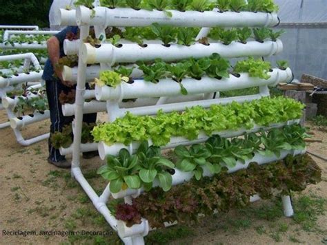 Vertical Garden Using Pvc Pipes - House Plant