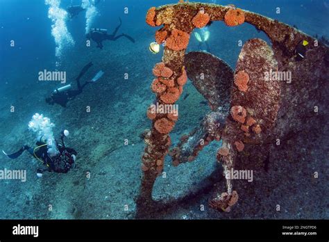 Scuba Divers Exploring Propeller Of Sunken Shipwreck In Cortez Sea