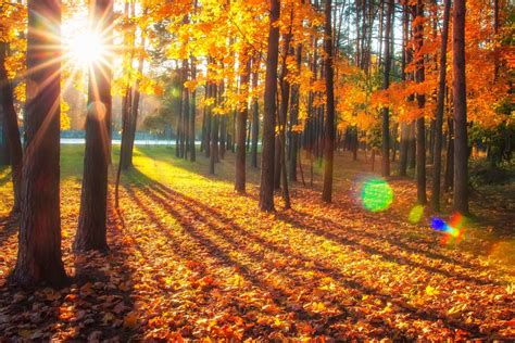 Map Out Your Oregon Fall Foliage Tour - Astoria Riverwalk Inn