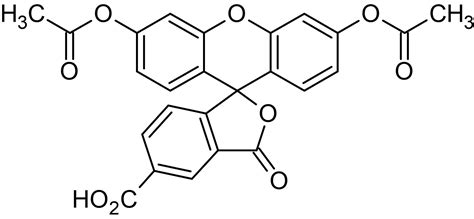 5 Cfda 5 Carboxyfluorescein Diacetate Abcam