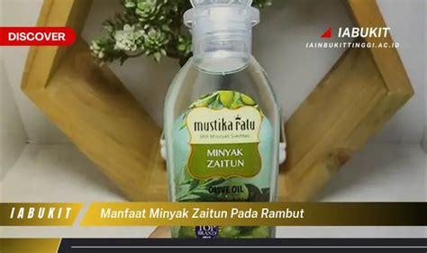 Ketahui 7 Manfaat Minyak Zaitun Pada Rambut Yang Wajib Kamu Intip Discover