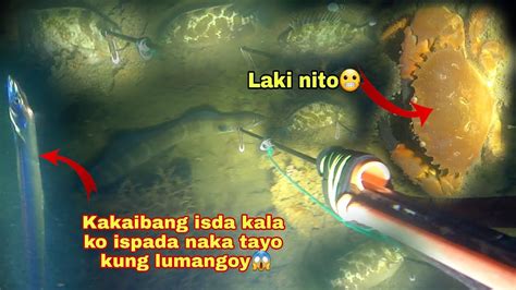 Night Spearfishing Episode 46 Quick Dive Hindi Parin Sila Na Uubos