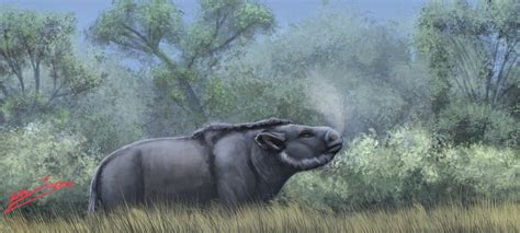 Toxodon Platensis By Benjamin R Langlois Rpleistocene