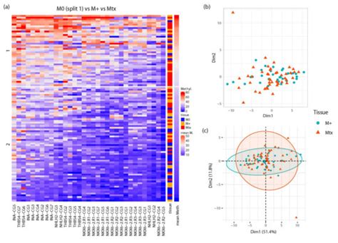 Identification Of A Novel Renal Metastasis Associated CpG Based DNA