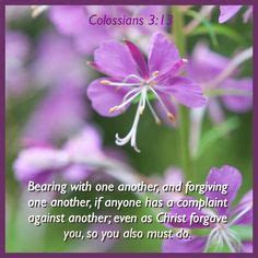 Book of Colossians