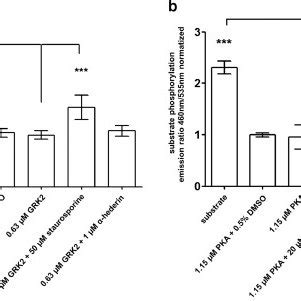 Effect of α hederin on GRK2 A and PKA mediated B substrate