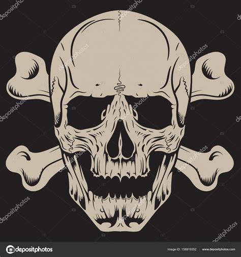 Human Skull And Crossbones Stock Vector Image By Bourbon 88 158919352