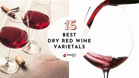 15 Most Popular Dry Red Wine Varietals for 2022 & Reasons Why