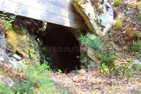 Entrance Opening of an Old WWII Military Bunker Hidden in the Bush Stock Image - Image of door ...