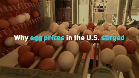 Why Egg Prices In The U S Surged CGTN