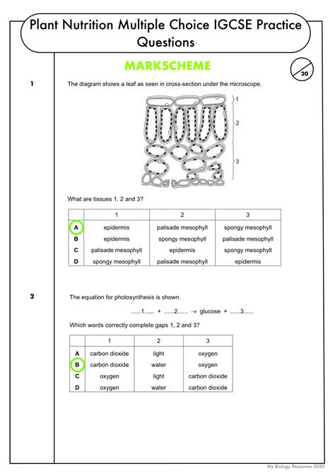 GCSE Biology Multiple Choice Topic Question Pack On Plant Nutrition