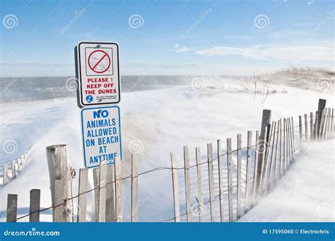 Snowy Beach stock photo. Image of blizzard, dunes, snow - 17595060