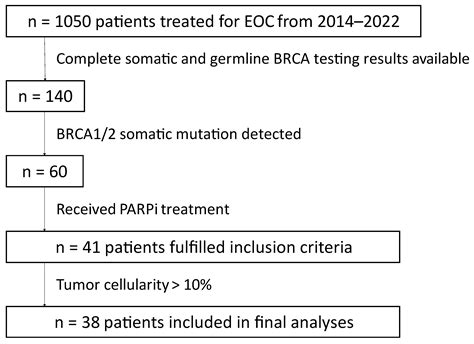 Corrected Allele Frequency Of Brca12 Mutations Is An Independent