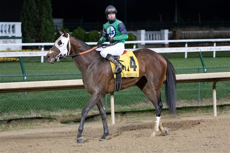 America's Best Horses for March 1 | America's Best Racing