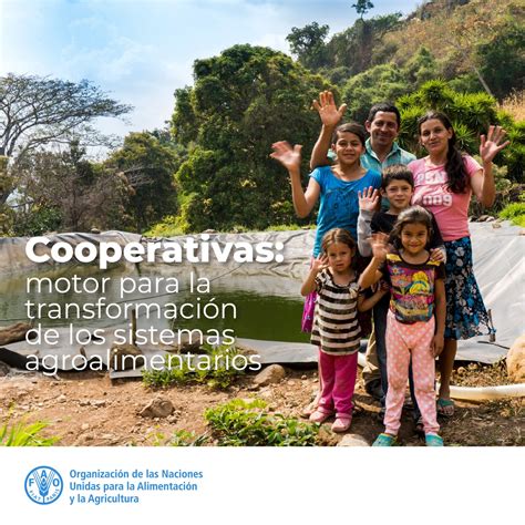 Fao Paraguay On Twitter Desde Faoamericas Le Deseamos Xito A La