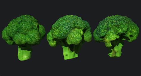 3d Broccoli Scan Model 1142472 Turbosquid