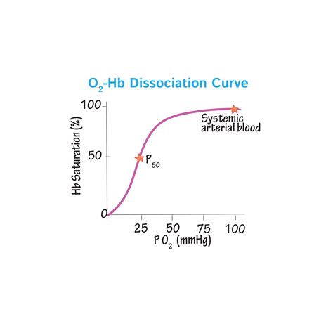 Oxygen-hemoglobin Dissociation Curve: Video Anatomy Osmosis, 54% OFF