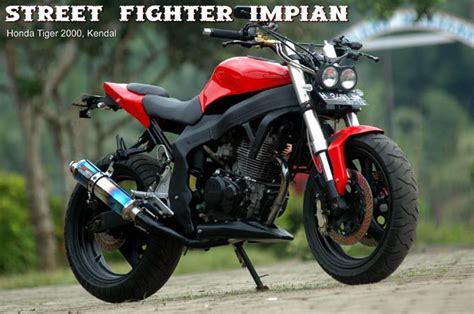 Gambar Modifikasi Honda Tiger 2000 Pulp