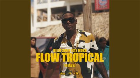 Flow Tropical Feat Luis Moka Youtube