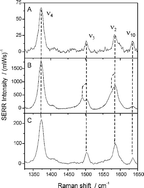 A RR Spectrum Of Cyt C In Solution 20 MM Compared With The SERR