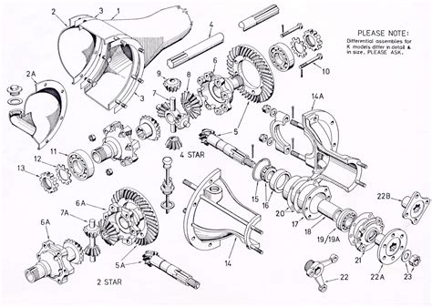 Rear Differential Diagram