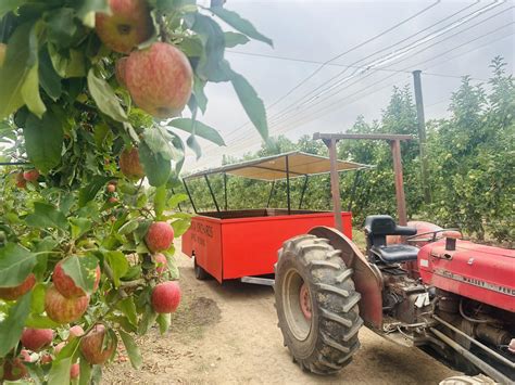 Atlanta Orchards - Apple Picking | Moorooduc VIC