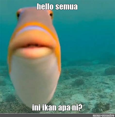 Meme Hello Semua Ini Ikan Apa Ni All Templates Meme Arsenal