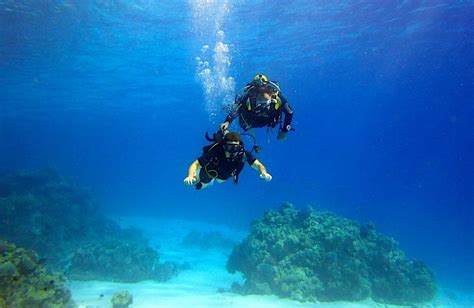 Padi Discover Scuba Diving Koh Tao Black Turtle Dive