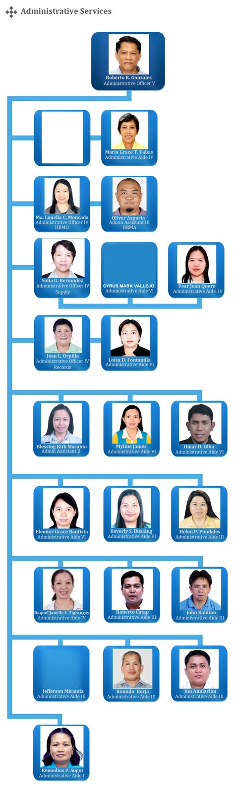 Organizational Structure Deped Baguio City Vrogue Co The Best Porn