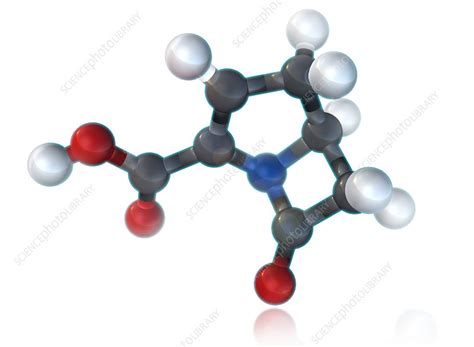 Carbapenem Molecular Model, illustration - Stock Image - F031/7520 ...