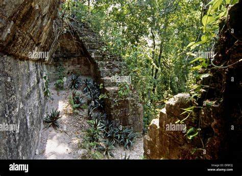 Mayan ruins of Tikal. Guatemala Stock Photo - Alamy