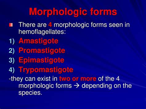 Blood Tissue Flagellates Haemoflagellates Leishmania Spp Ppt