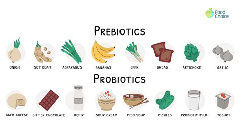 Relationship between microbiota and nutrition: TENDENCIAS EN NUTRICIÓN - II PAO 2022