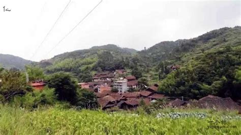 大岭村图片 福建省宁德市寿宁县坑底乡大岭村