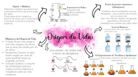 Mapas Mentais Sobre Origem Da Vida Study Maps