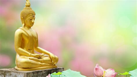 Wesak Festivals And Retreats Gcse Religious Studies Revision Wjec