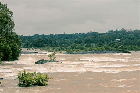 Kerala Floods Red Alert Issued In 4 Districts Due To Heavy Rains