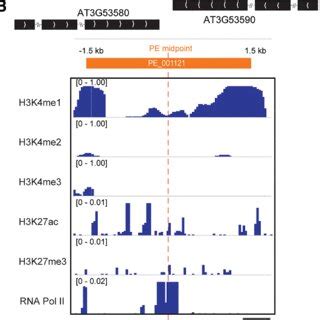 Integrative Genomics Viewer Igv Visualization Of Three Pe Loci And