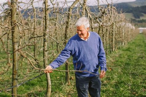 Lifetime Achievement Award - Ian Smith | Apple and Pear Australia ...