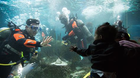 Scuba Diving in Brooklyn - Video - NYTimes.com