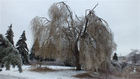 Ice Storm Toronto 2013