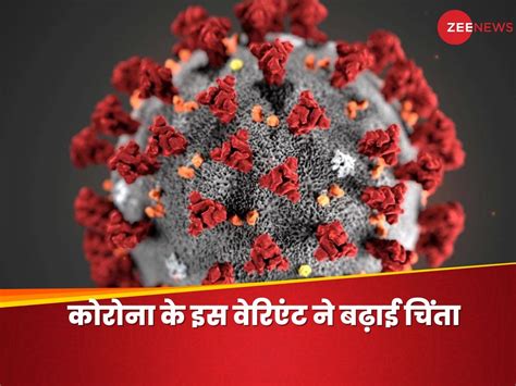 Coronavirus Jn1 Explainer Know How It Is Different From Other Variant