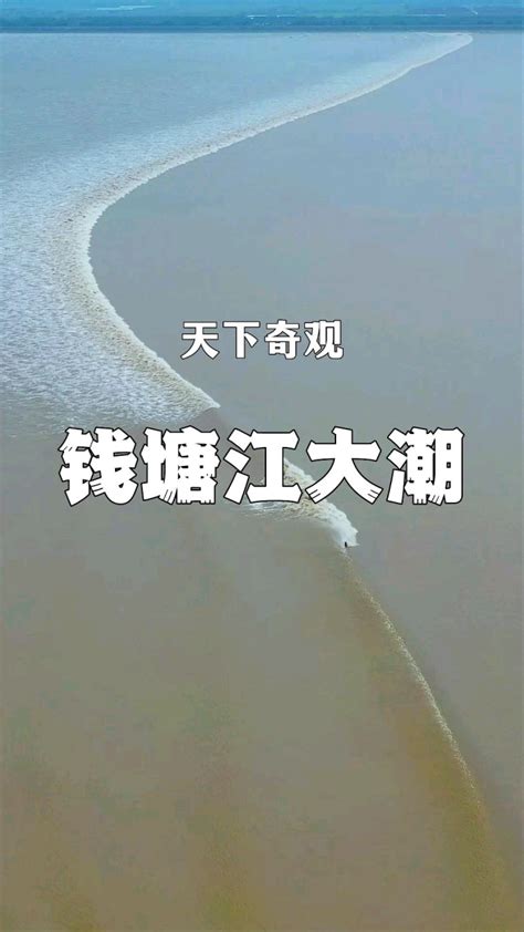 八月十八潮壮观天下无说的就是钱塘江大潮如果你来不了钱塘江我就把汹涌澎湃的大潮拍给你看 高清1080P在线观看平台 腾讯视频