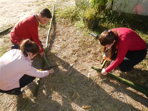 20160519 Fazenda prática Criação animais agroecológica Bambu 006