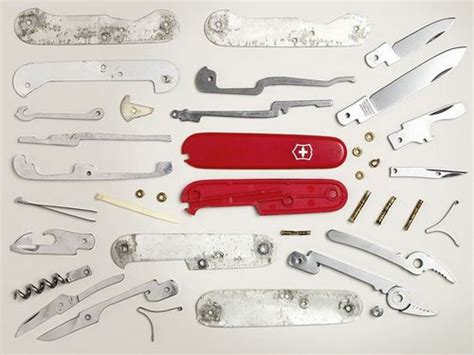 Choosing the Best Swiss Army Knife | Knife Informer